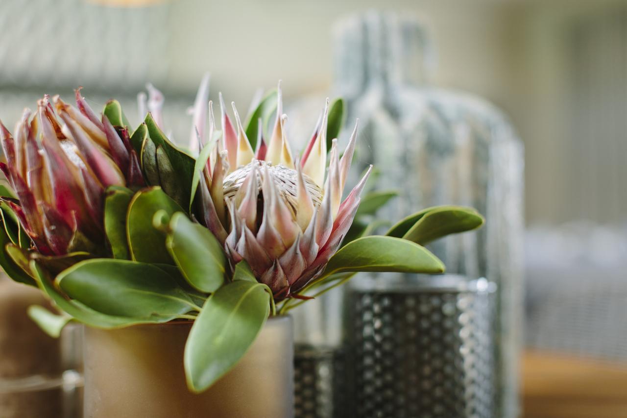 The Thatch House Boutique Hotel, Hermanus Exterior photo